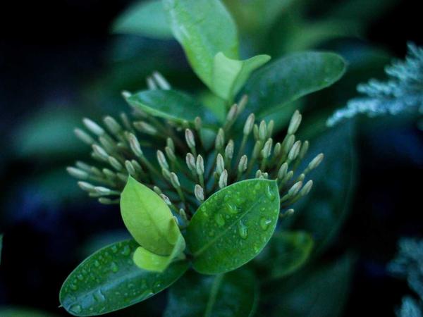 Fotografie z aktivit 5