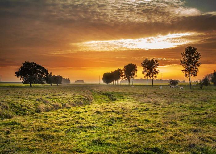 Dětský program na svatbě